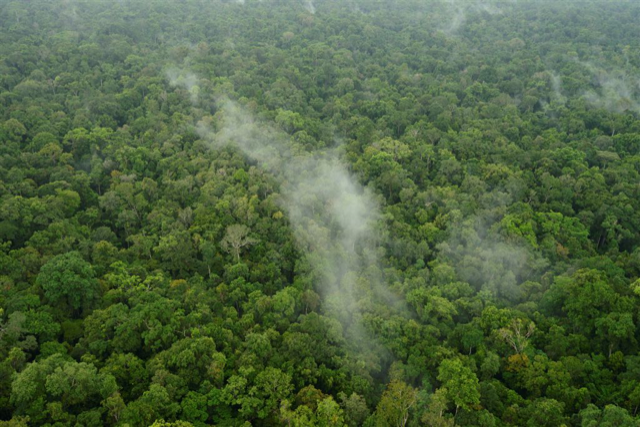 foresta amazzonica precipitazione